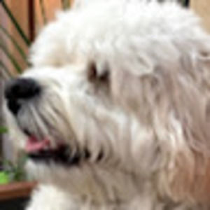 Meet your Posher, Teri